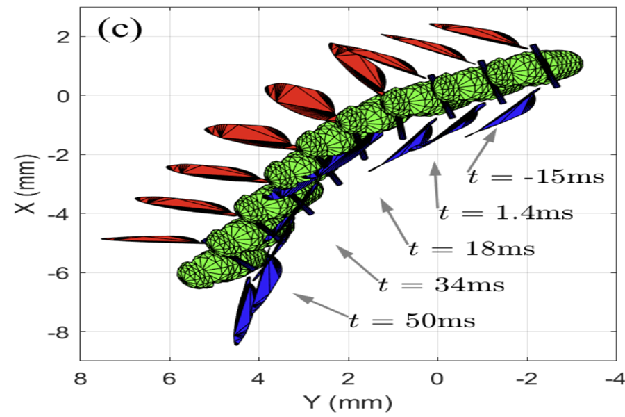 Thumbnail for Model-Based Tracking of Fruit Flies in Free Flight